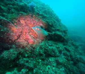 DCIM101GOPROGOPR0534.JPG