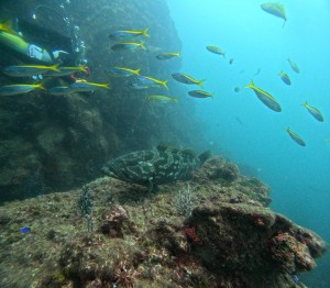 DCIM101GOPROGOPR0549.JPG
