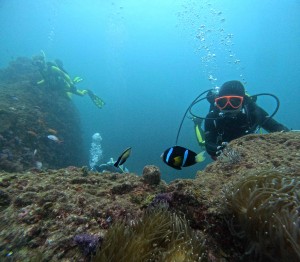 DCIM101GOPROGOPR0575.JPG