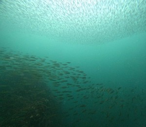 DCIM101GOPROGOPR0633.JPG