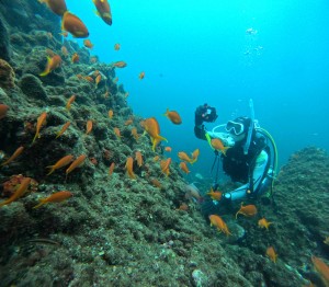DCIM101GOPROGOPR0688.JPG