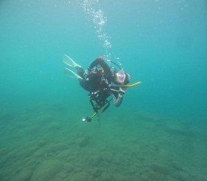 DCIM101GOPROGOPR0774.JPG