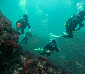 GOPR0844