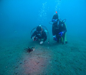 GOPR0957