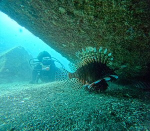 GOPR0985