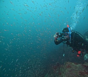 DCIM101GOPROGOPR1006.JPG