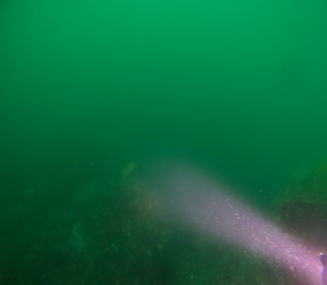 DCIM101GOPROGOPR1034.JPG