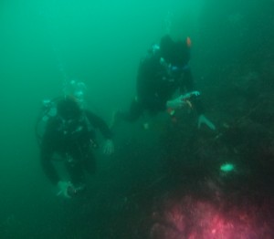 DCIM101GOPROGOPR1038.JPG