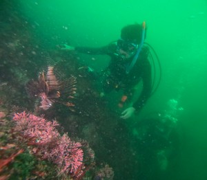 DCIM101GOPROGOPR1044.JPG