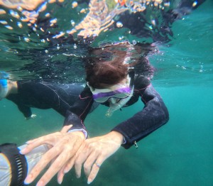 DCIM101GOPROGOPR1212.JPG