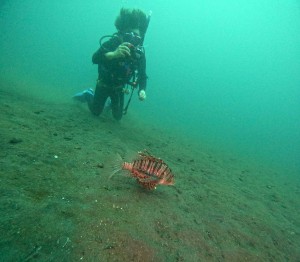 DCIM101GOPROGOPR1288.JPG