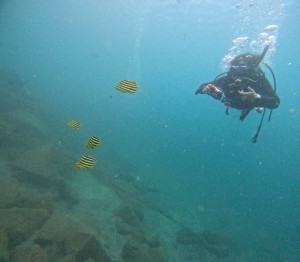 DCIM101GOPROGOPR1291.JPG