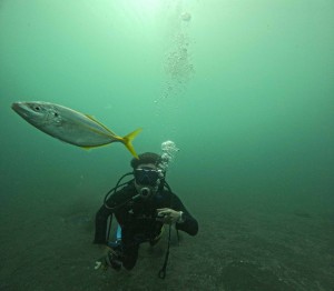 DCIM101GOPROGOPR1295.JPG