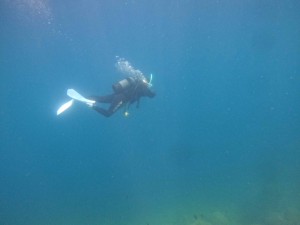 DCIM100GOPROGOPR2555.JPG