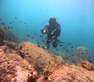 GOPR3819