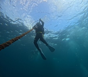 DCIM100GOPROGOPR3858.JPG