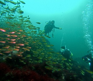 DCIM100GOPROGOPR3897.JPG