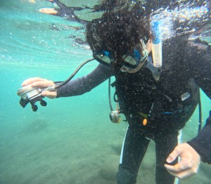 DCIM100GOPROGOPR3947.JPG