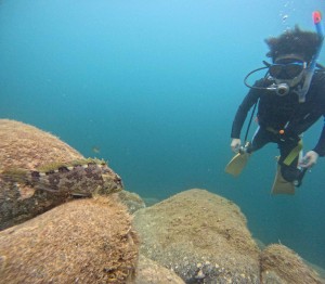 DCIM100GOPROGOPR3964.JPG