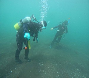 DCIM100GOPROGOPR3996.JPG