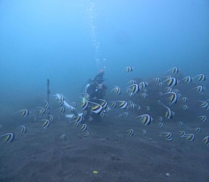 DCIM100GOPROGOPR4058.JPG