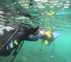DCIM100GOPROGOPR4177.JPG