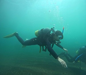 DCIM100GOPROGOPR4184.JPG