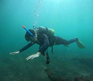 DCIM100GOPROGOPR4194.JPG
