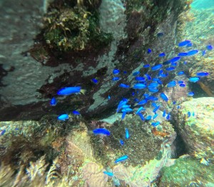 DCIM100GOPROGOPR4206.JPG