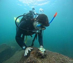 DCIM100GOPROGOPR4208.JPG