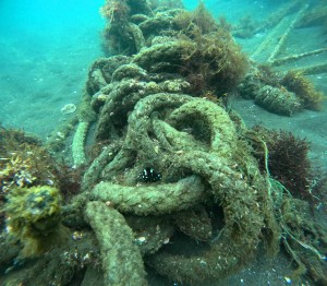 DCIM100GOPROGOPR4211.JPG