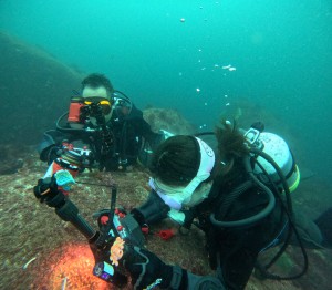 DCIM100GOPROGOPR4232.JPG