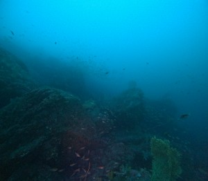 DCIM100GOPROGOPR4234.JPG