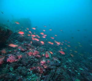 DCIM100GOPROGOPR4235.JPG