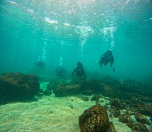 GOPR4295