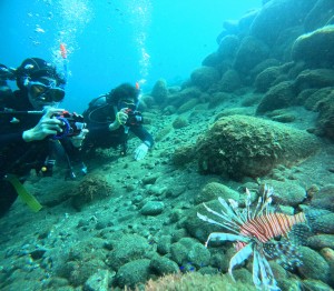 DCIM100GOPROGOPR4491.JPG