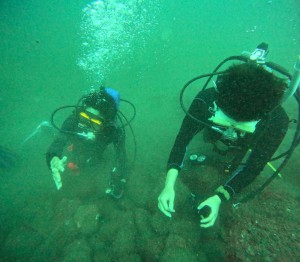 DCIM100GOPROGOPR4529.JPG
