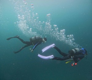 DCIM100GOPROGOPR4542.JPG