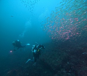 DCIM100GOPROGOPR4670.JPG