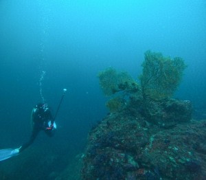 GOPR4788