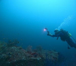 DCIM100GOPROGOPR6878.JPG