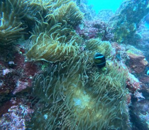 DCIM100GOPROGOPR6894.JPG