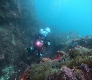 DCIM100GOPROGOPR6902.JPG
