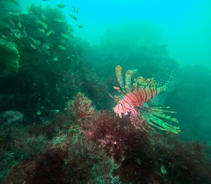 DCIM100GOPROGOPR6934.JPG