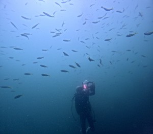 DCIM100GOPROGOPR6990.JPG