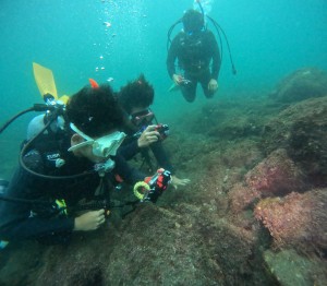 DCIM100GOPROGOPR7292.JPG