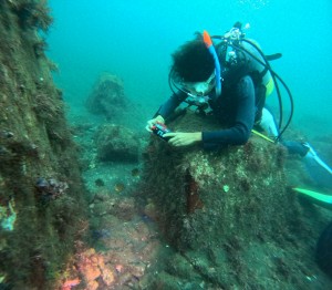 DCIM100GOPROGOPR7297.JPG