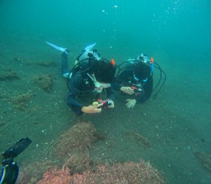 DCIM100GOPROGOPR7299.JPG