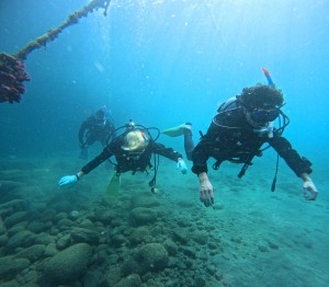 DCIM100GOPROGOPR7446.JPG