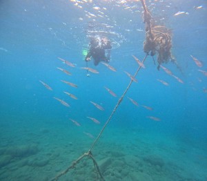 DCIM100GOPROGOPR7454.JPG